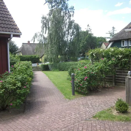 Darsser Sommerwind #110580